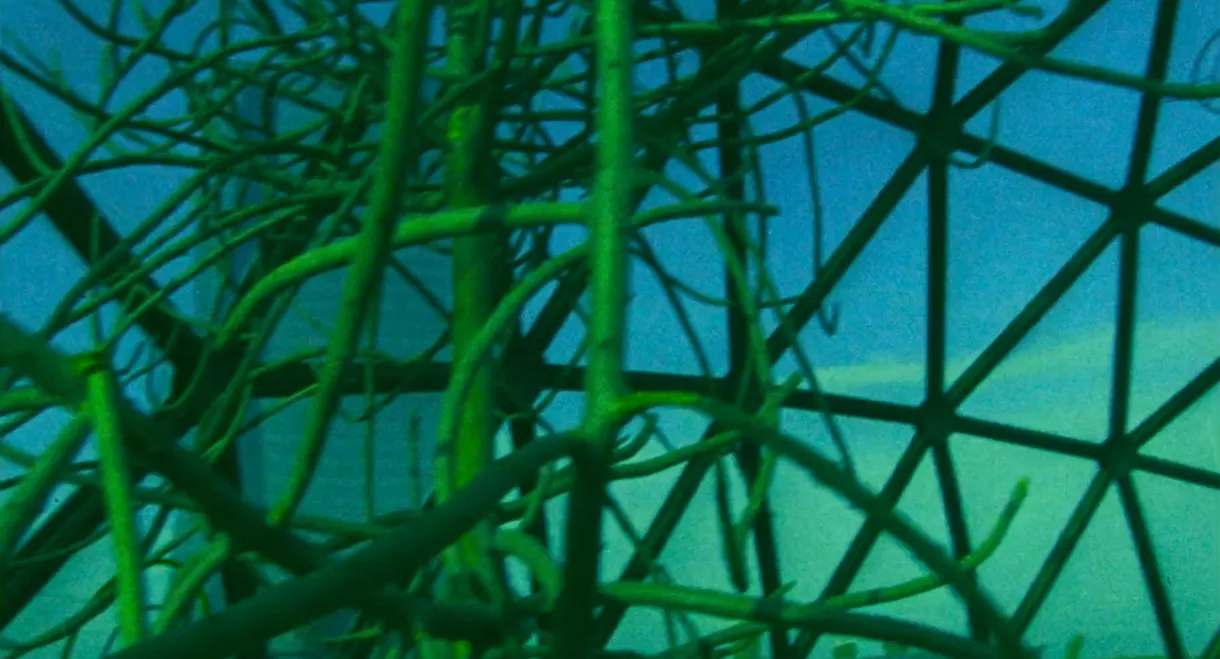 Ornette: Made in America