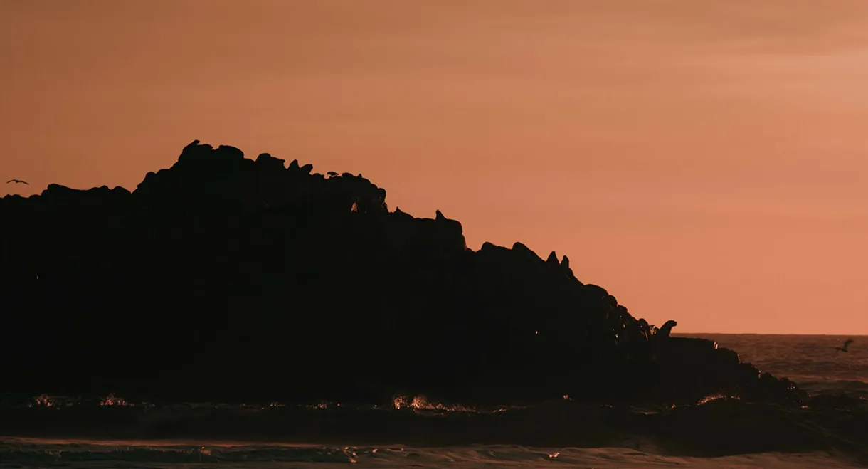 The Dawn of the Ancients