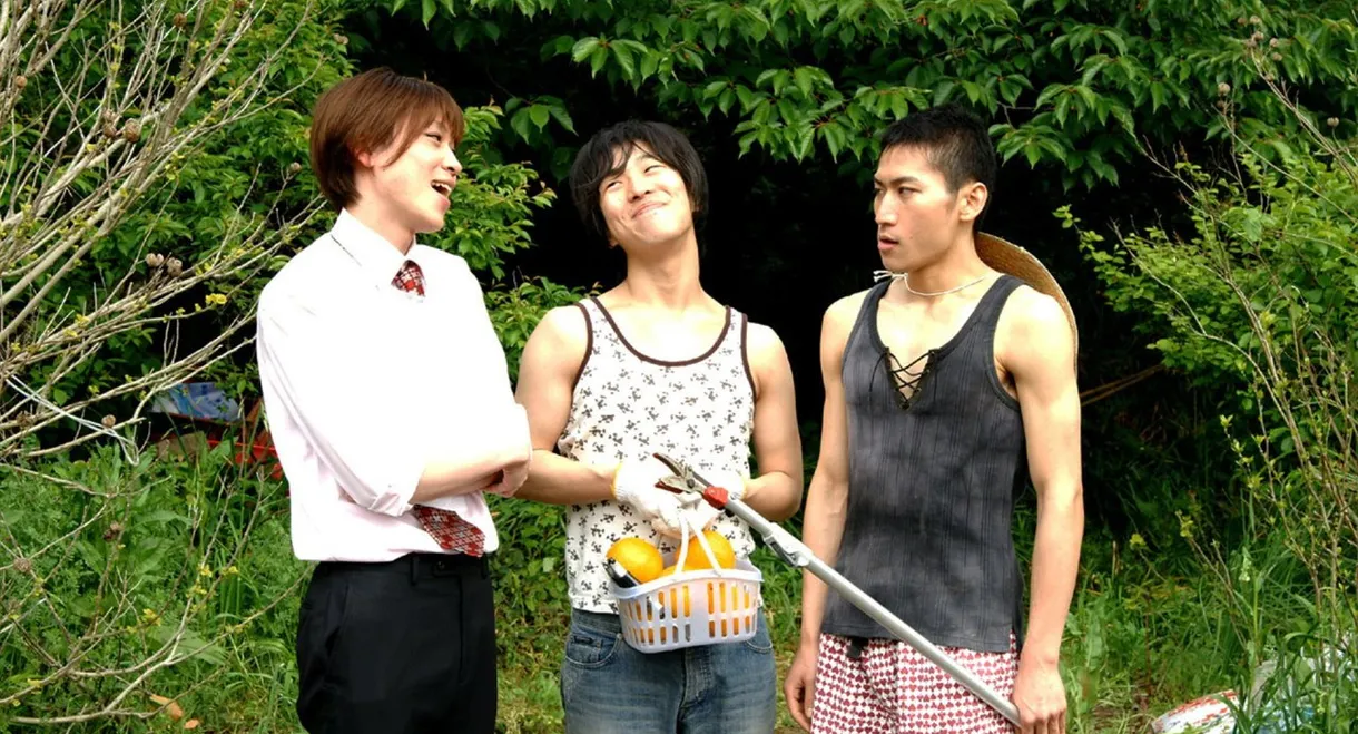 The Boys of Love Beach