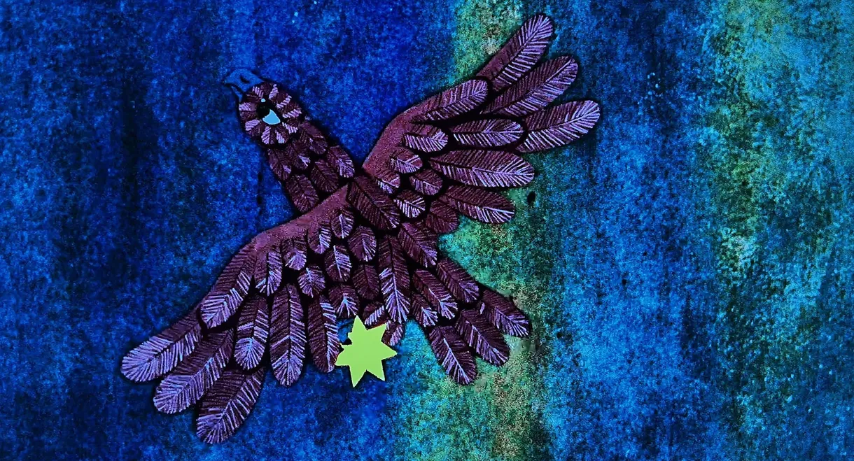 Jana and the Little Star