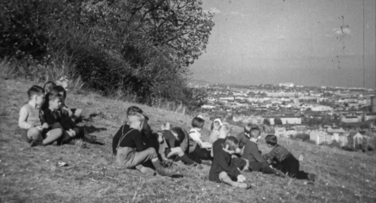 Die junge Stadt
