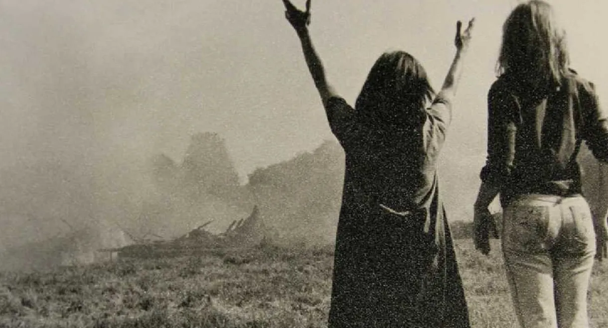 The Stone Wood Witches