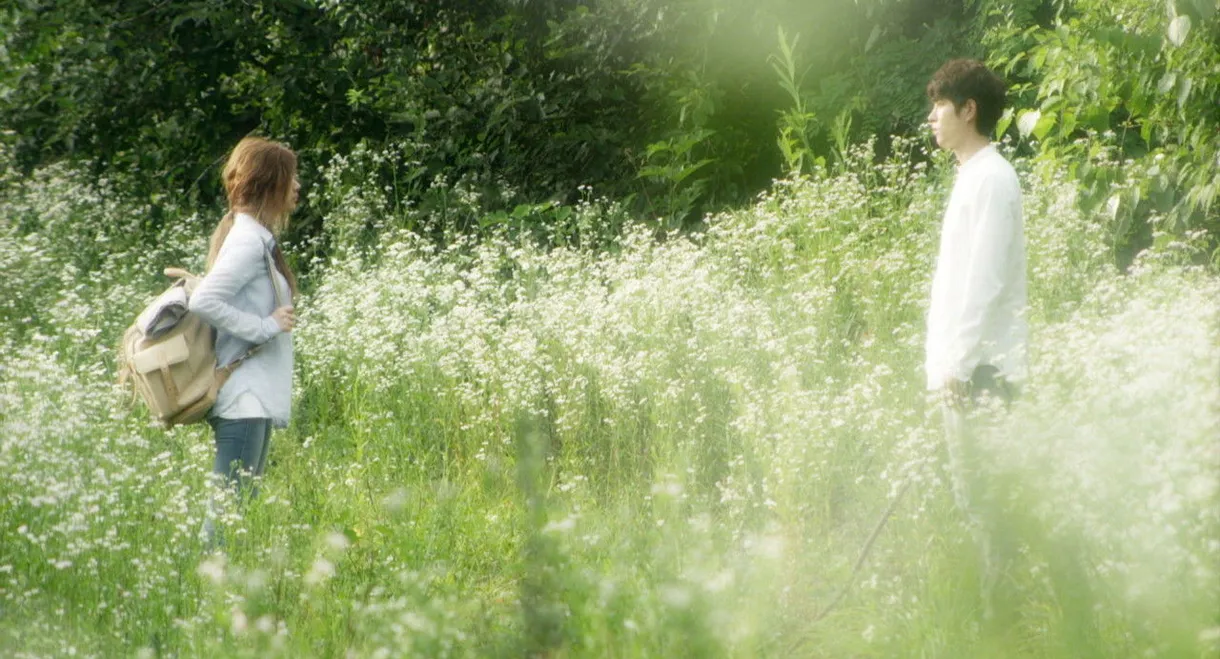 Alice: Boy from Wonderland