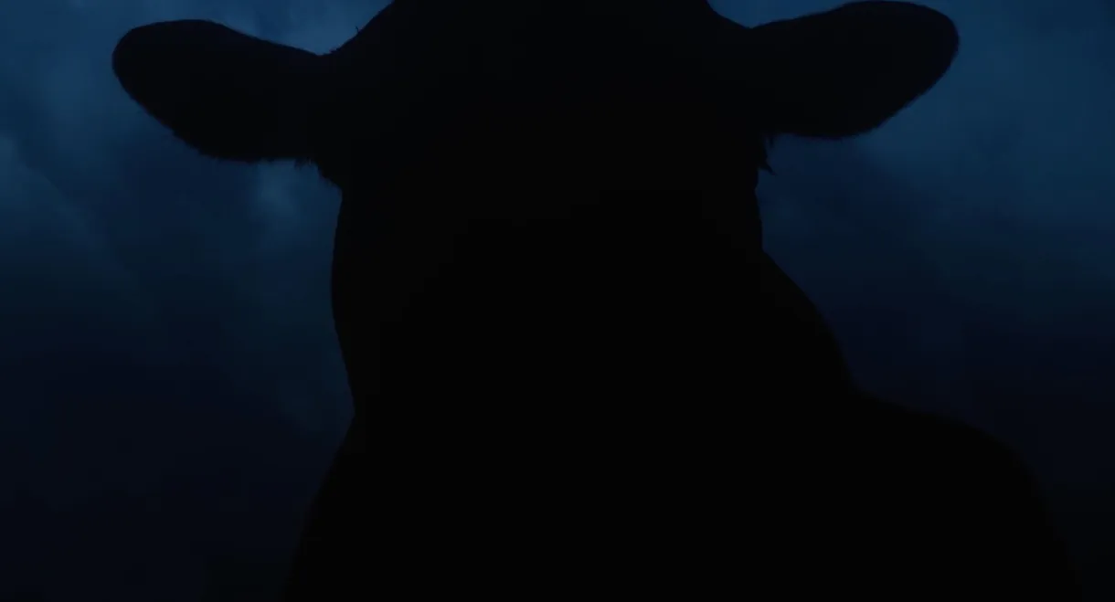 SURRENDER | The Go One More Ultra