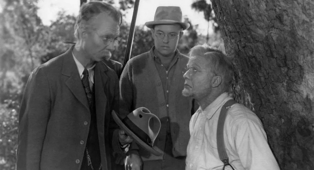 The Bashful Bachelor