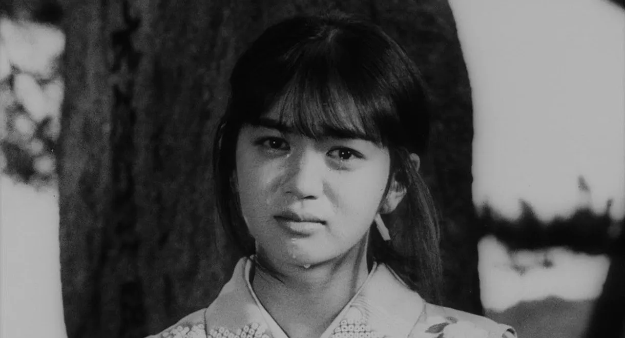 Bound for the Fields, the Mountains, and the Seacoast