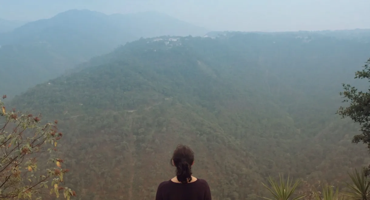 Nobody, Not Even the Mist