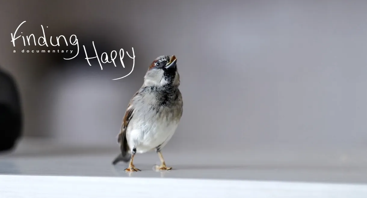 Finding Happy