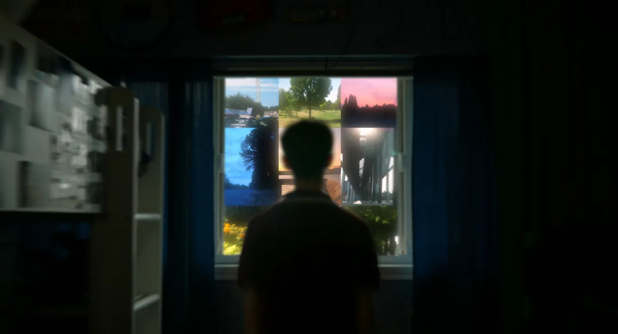 The Duality Of My New Summer