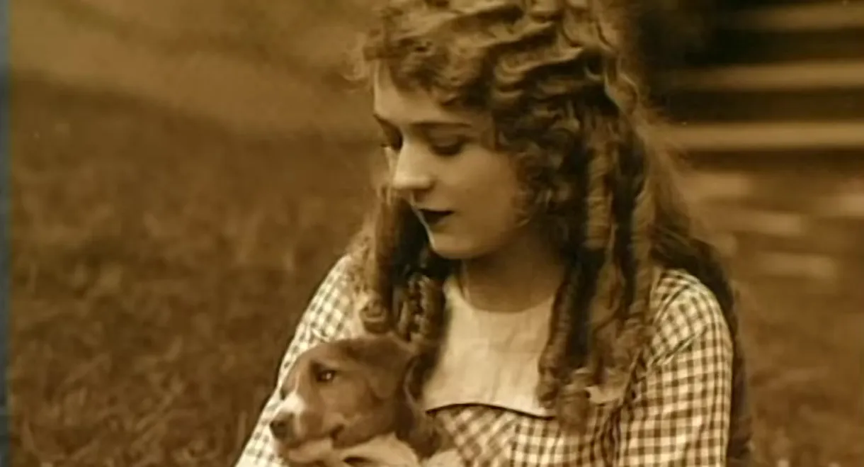 Mary Pickford: A Life on Film