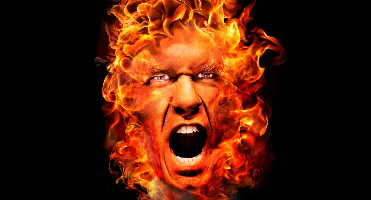 WWE Hell in a Cell 2011