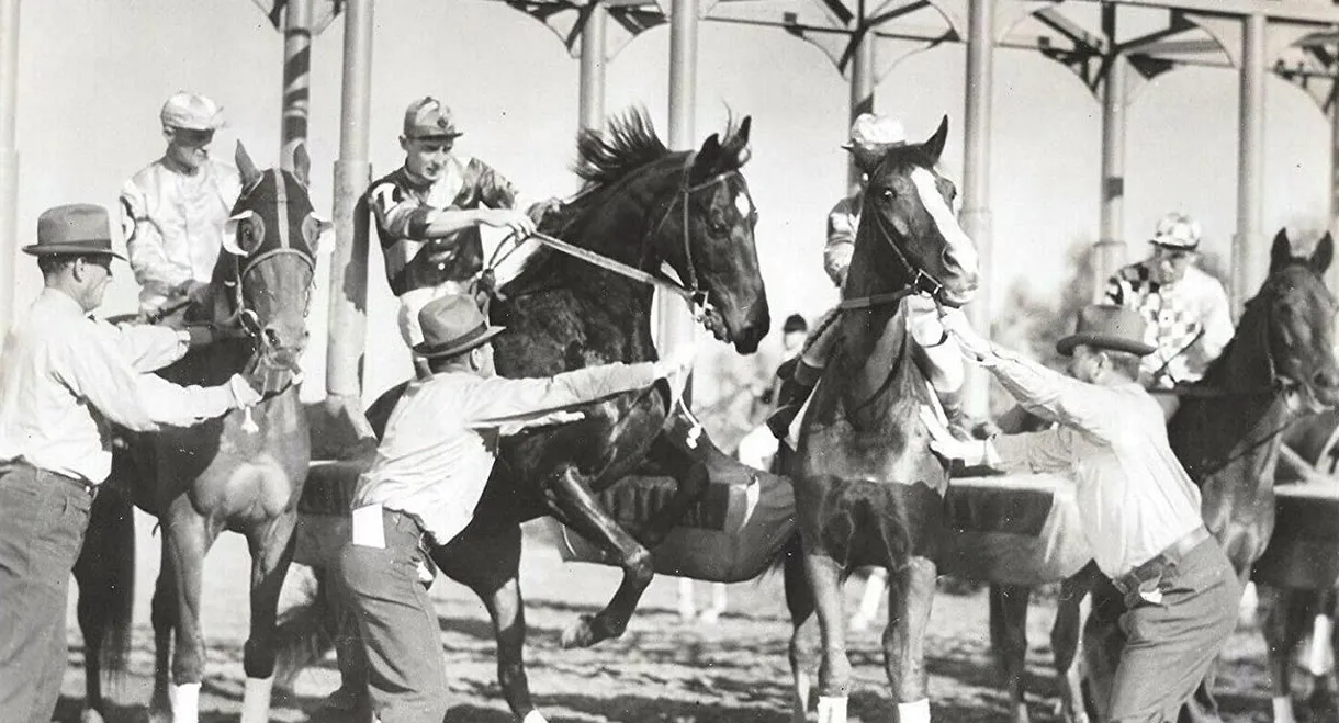 The Lady's from Kentucky
