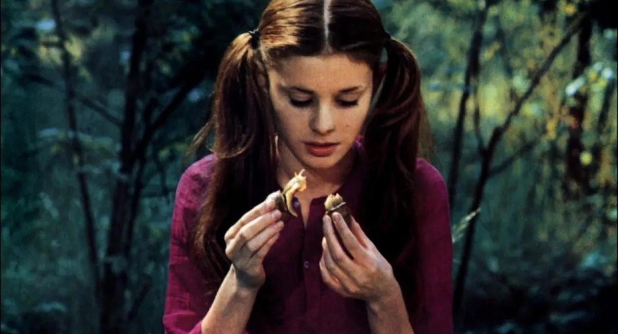 At the Meeting with Joyous Death