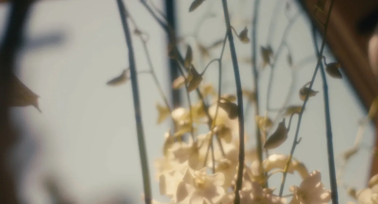 Wedding Flowers