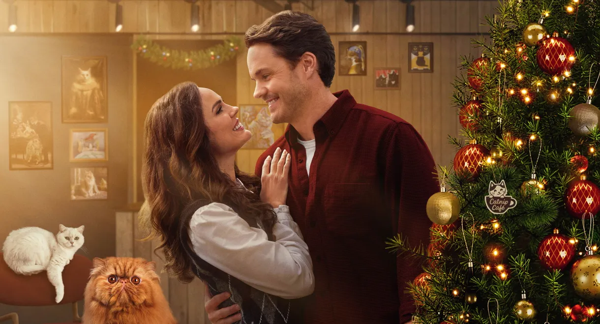 Christmas at the Catnip Café