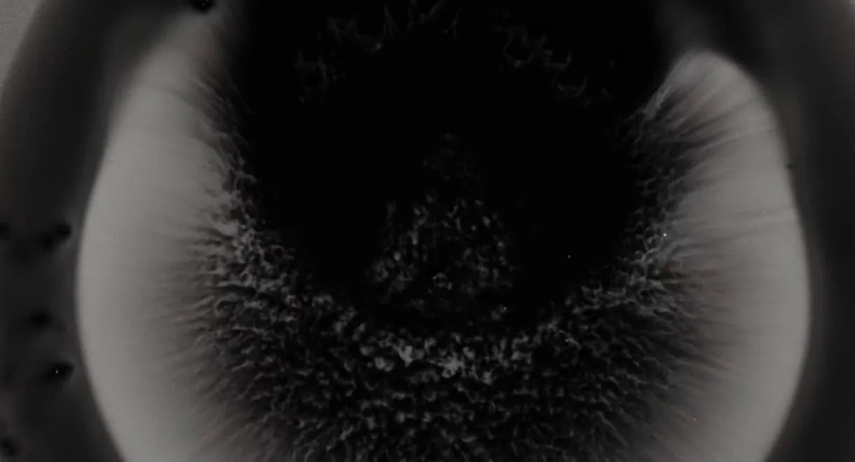 Michael Gira: I Wonder If I’m Singing What You’re Thinking Me to Sing (Live Solo 2022)