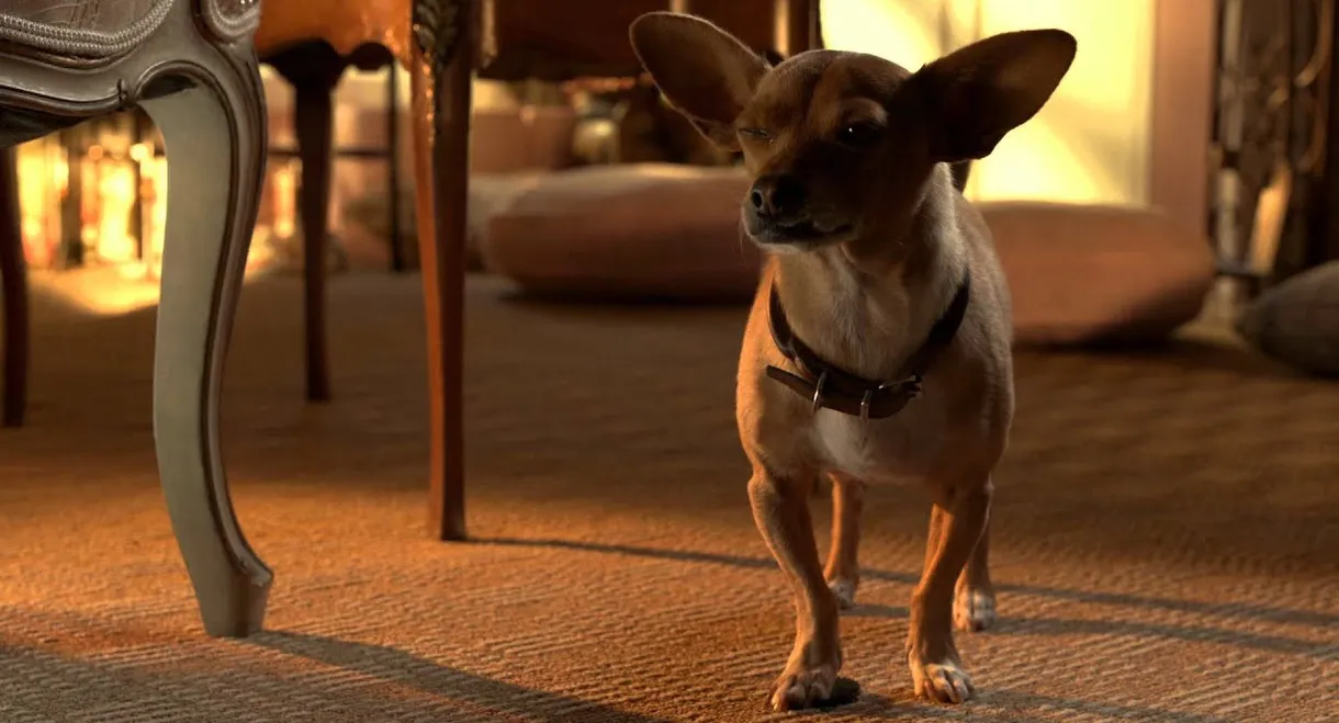 Beverly Hills Chihuahua 3: Viva la Fiesta!