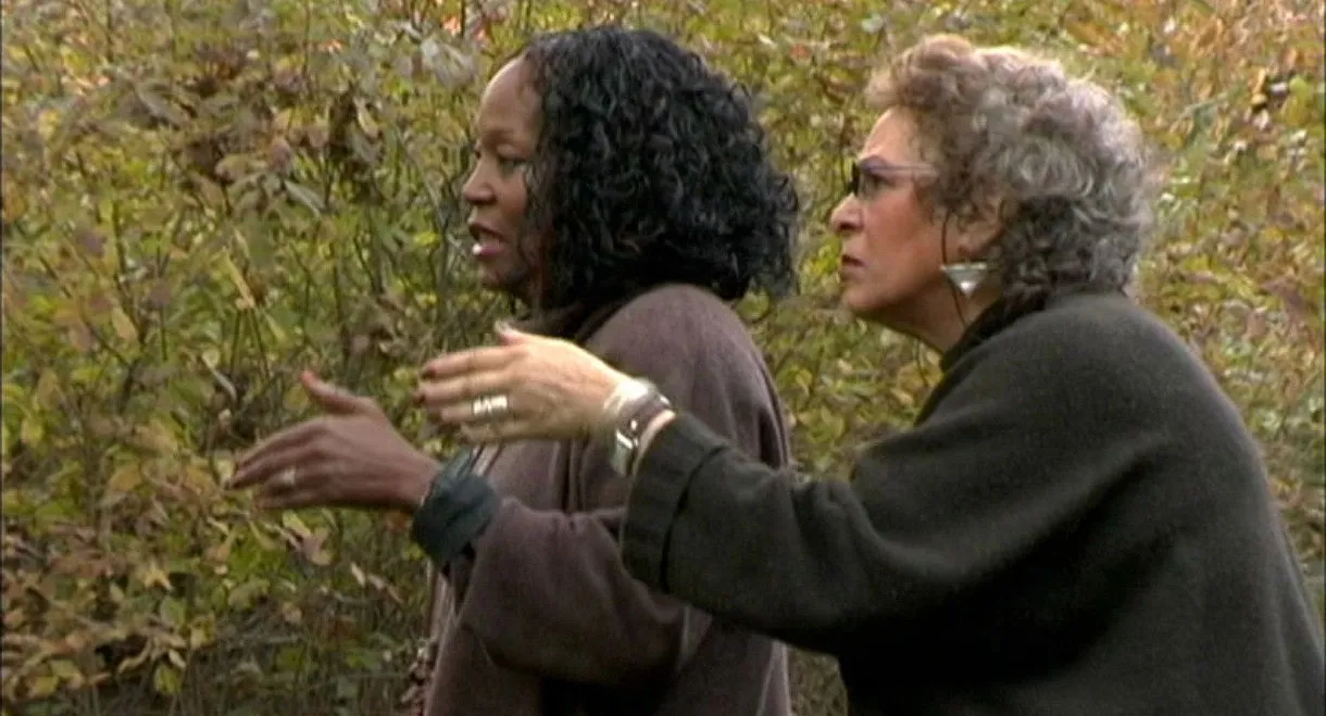 Symbiopsychotaxiplasm: Take 2½