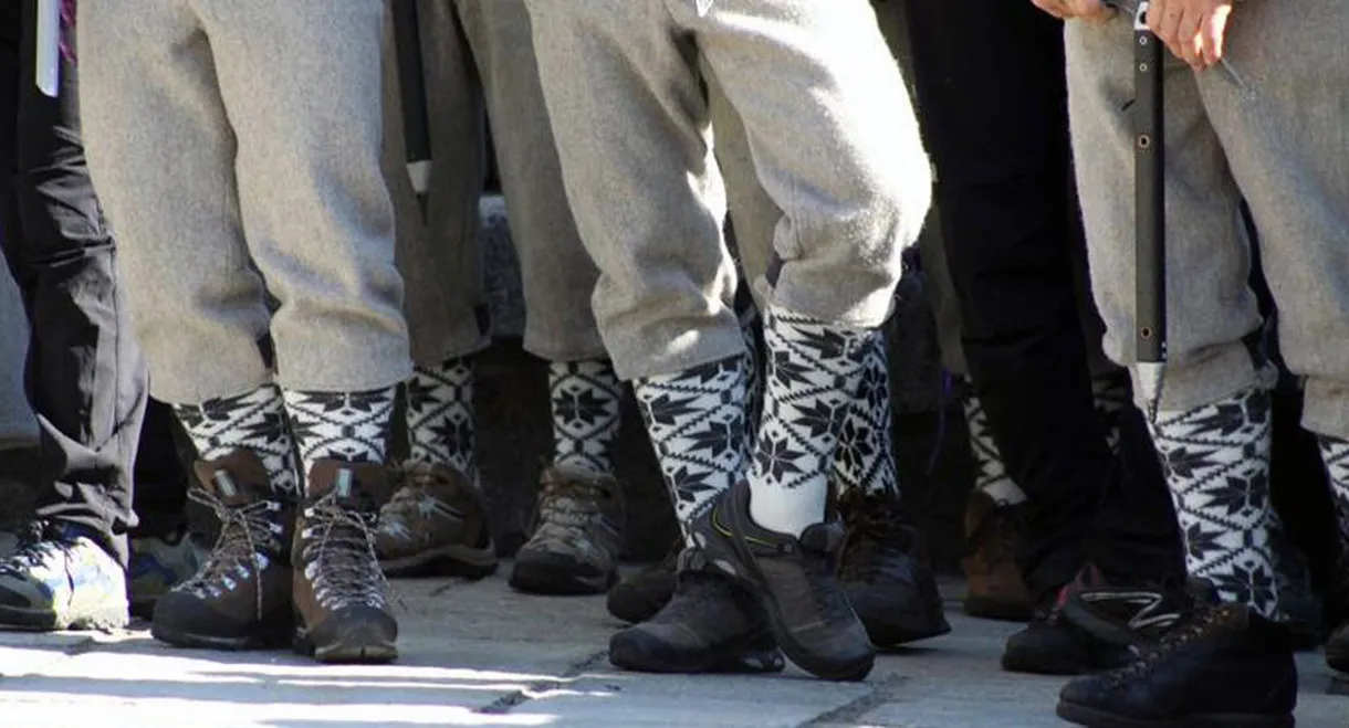 The Companions Of The Void