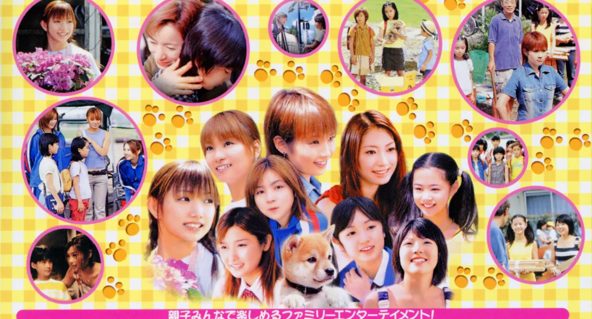 The Story of Dan the Puppy