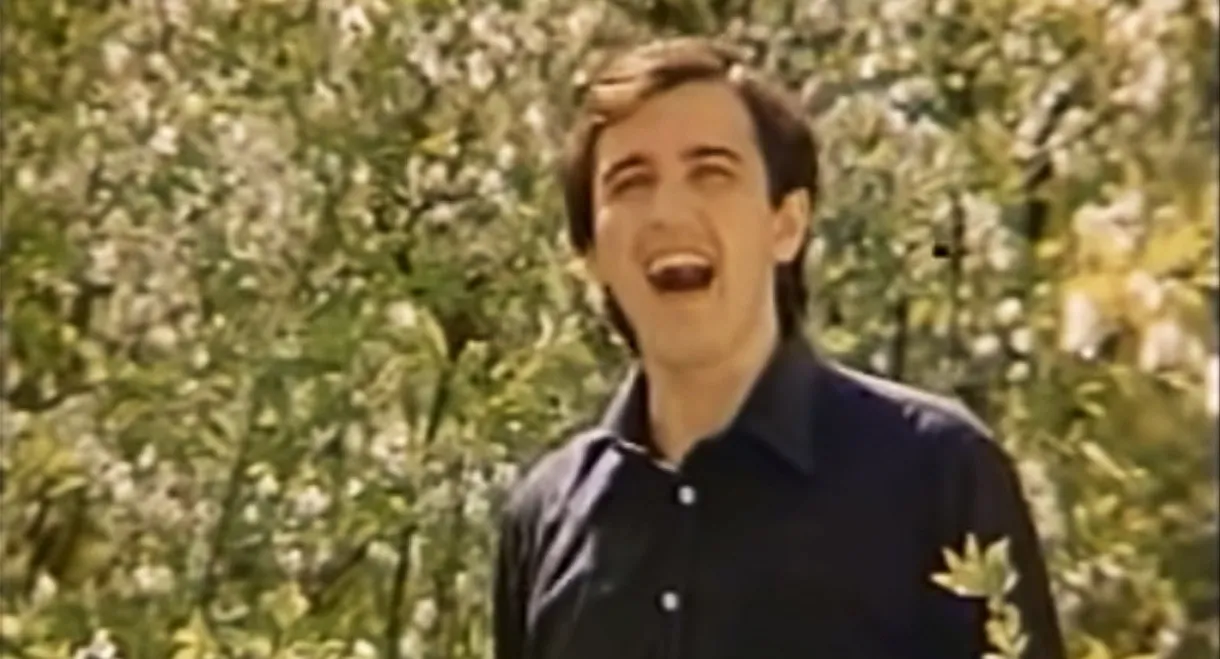 Chervona Ruta. Ten Years Later