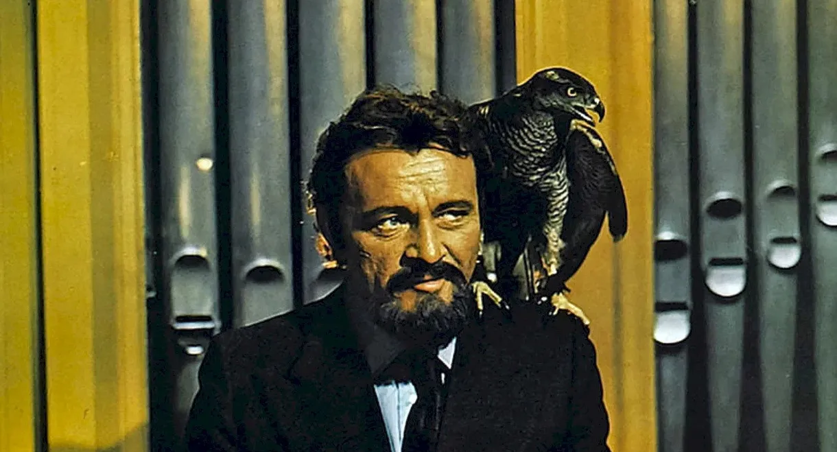 Barbablù, Barbablù