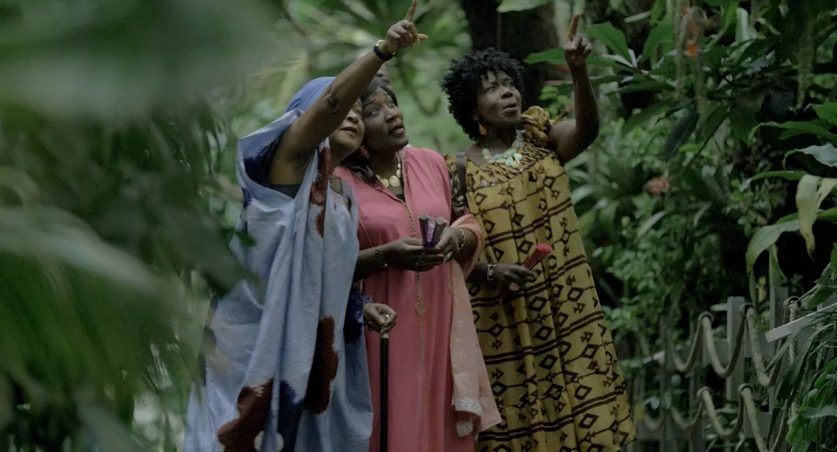 THE INDIGO TREE or the descent of the twins