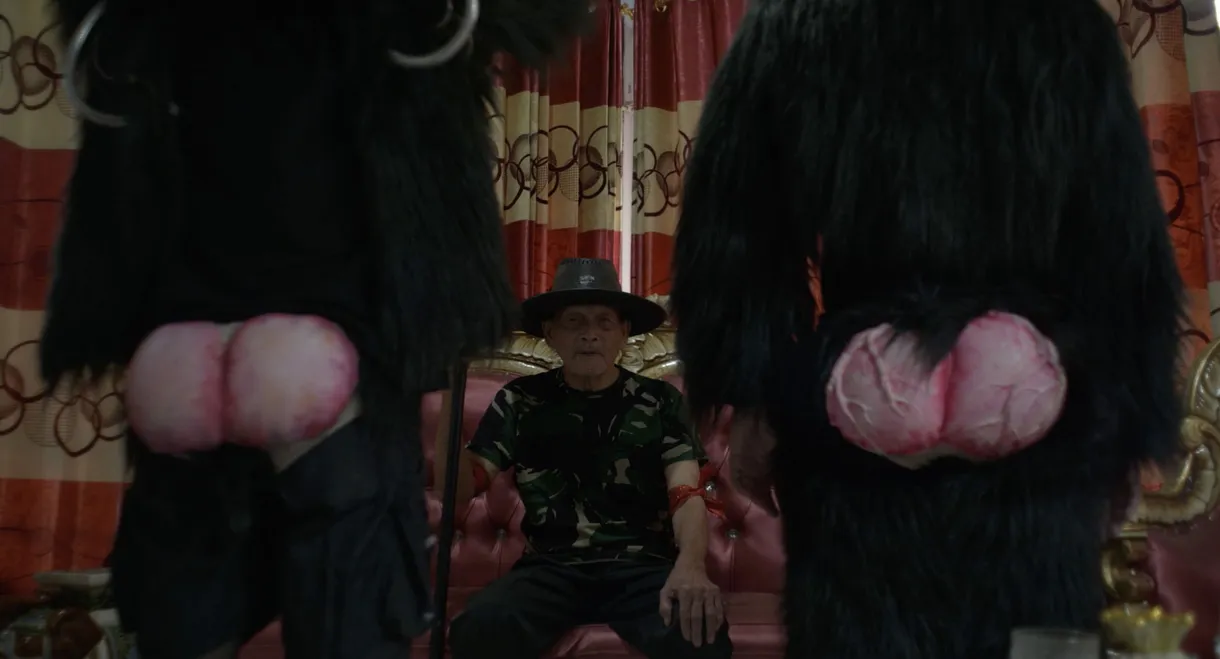 Primate Visions; Macaque Macabre