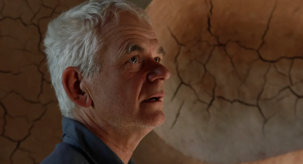 Leaning Into the Wind: Andy Goldsworthy