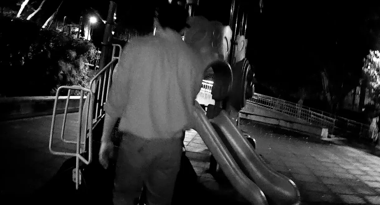 Midnight Playground