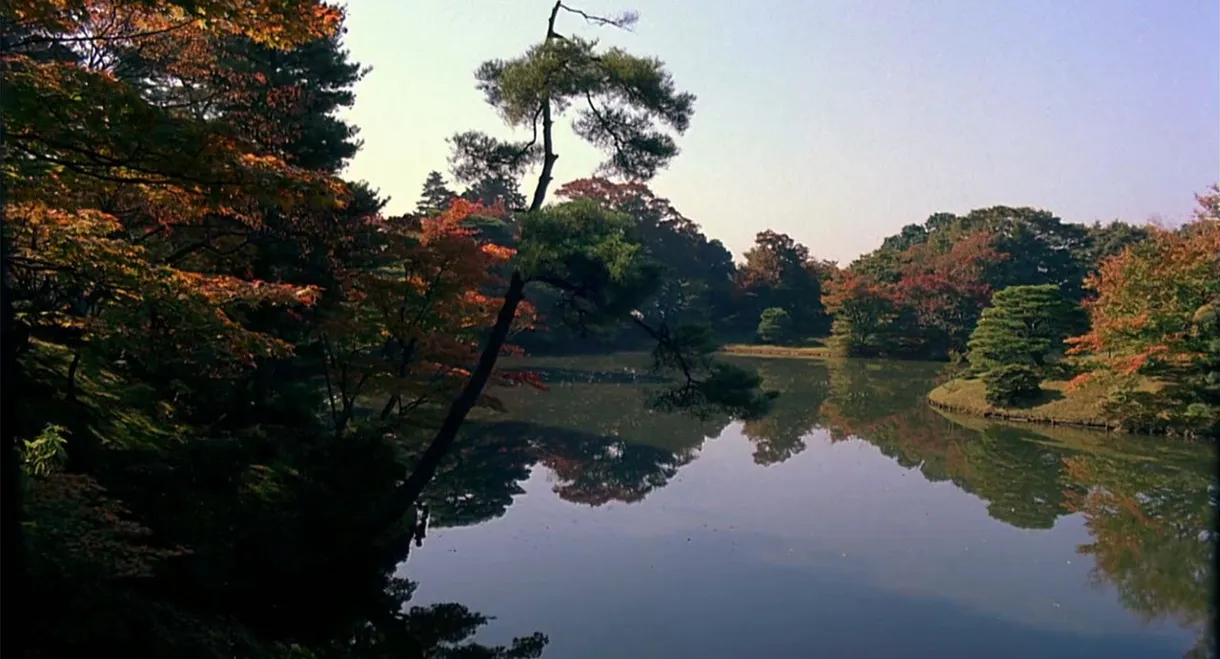Dream Window: Reflections on the Japanese Garden