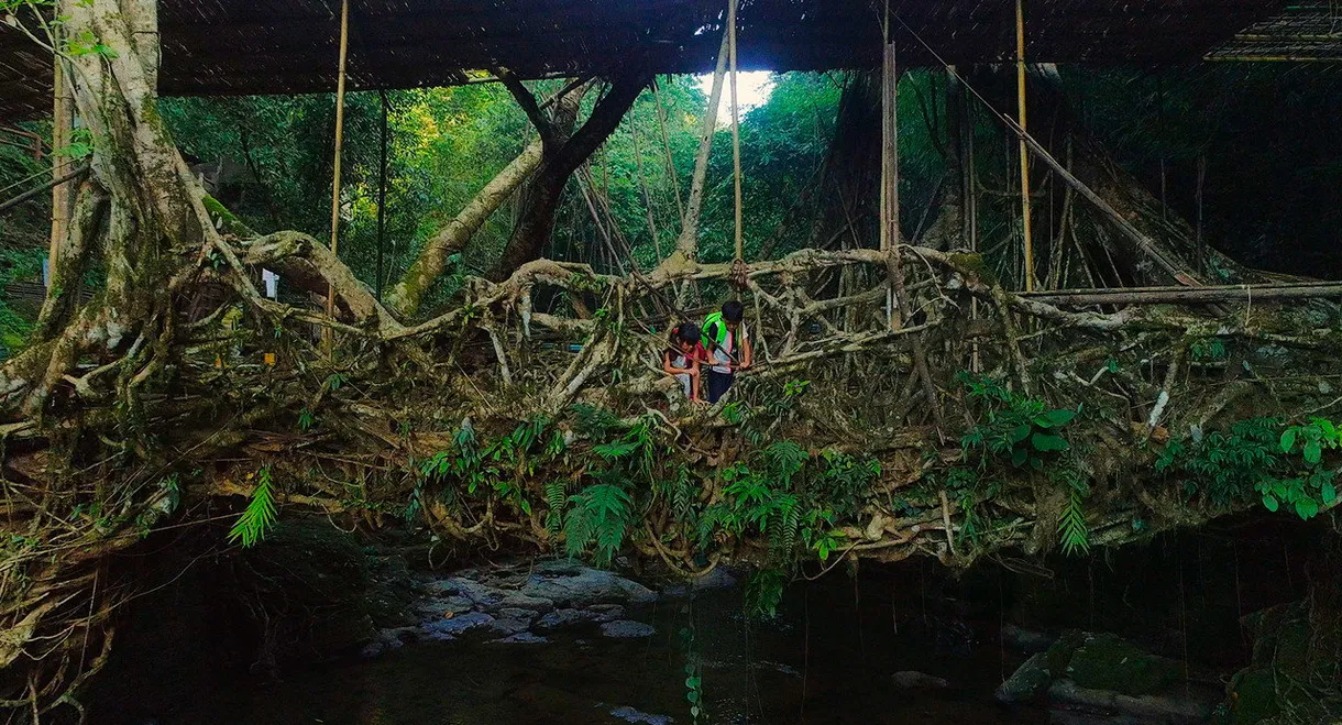 For Tomorrow - the Documentary