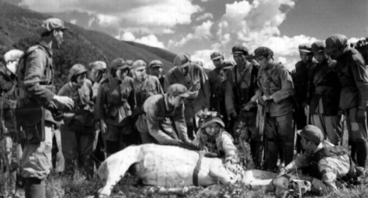 Along The Jinsha River