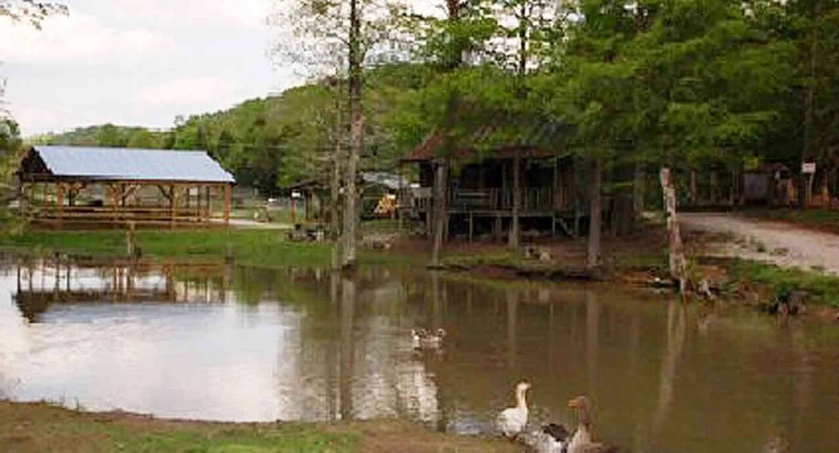 The Little Ponderosa Zoo