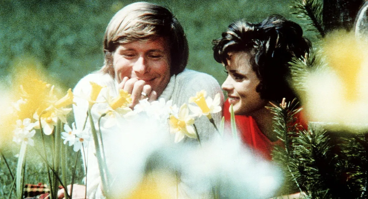 Hilfe, die Verwandten kommen