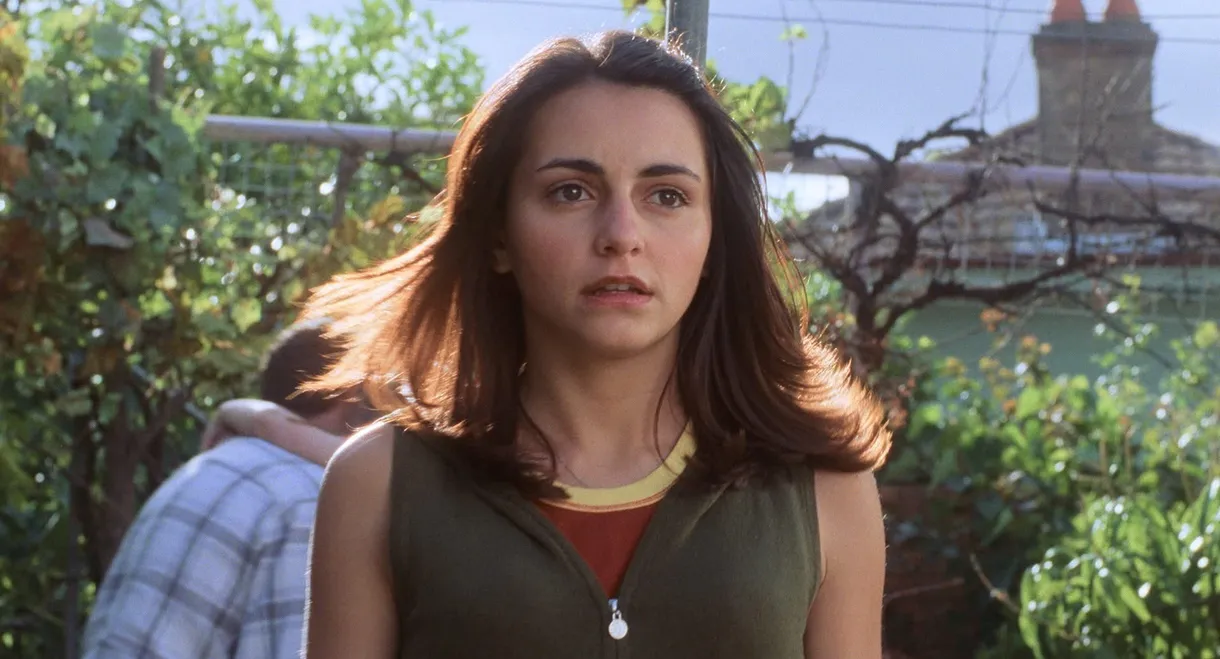 Looking for Alibrandi