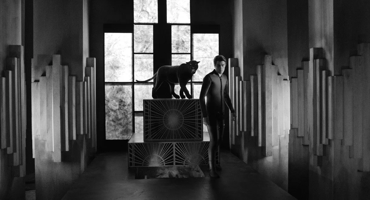 Diabolik: Who Are You?