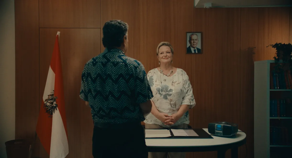 Far from Being Lipizzans