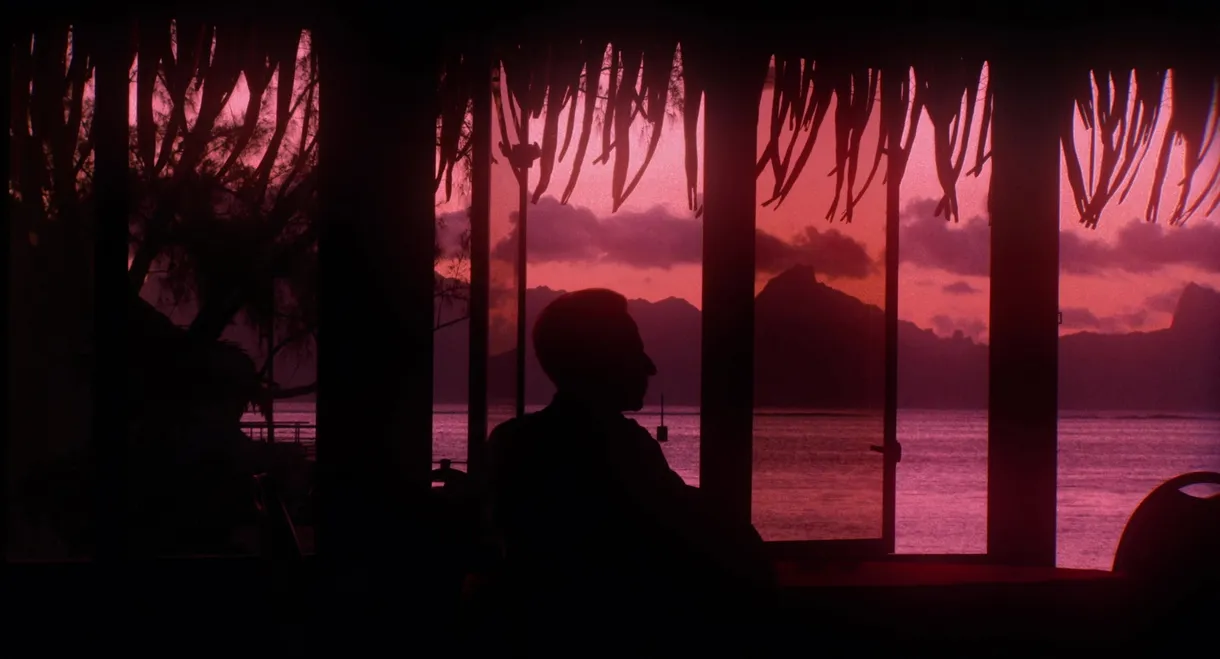 Filmoteca de Catalunya 10 anys al Raval