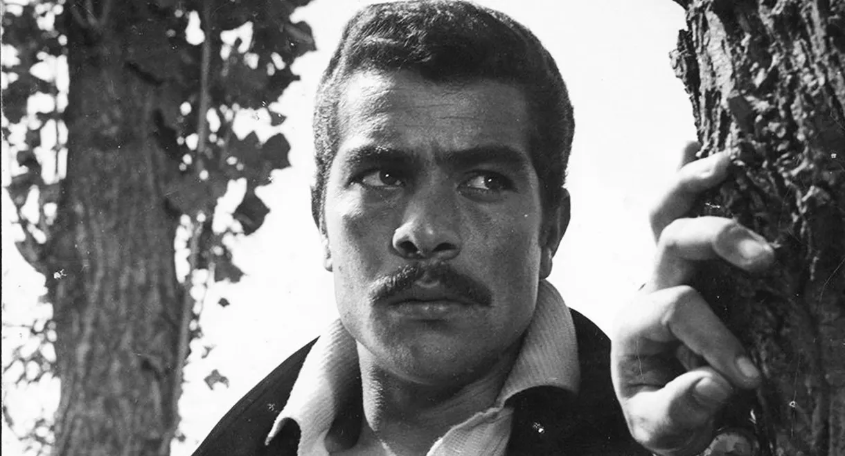 The Bride of the Sea