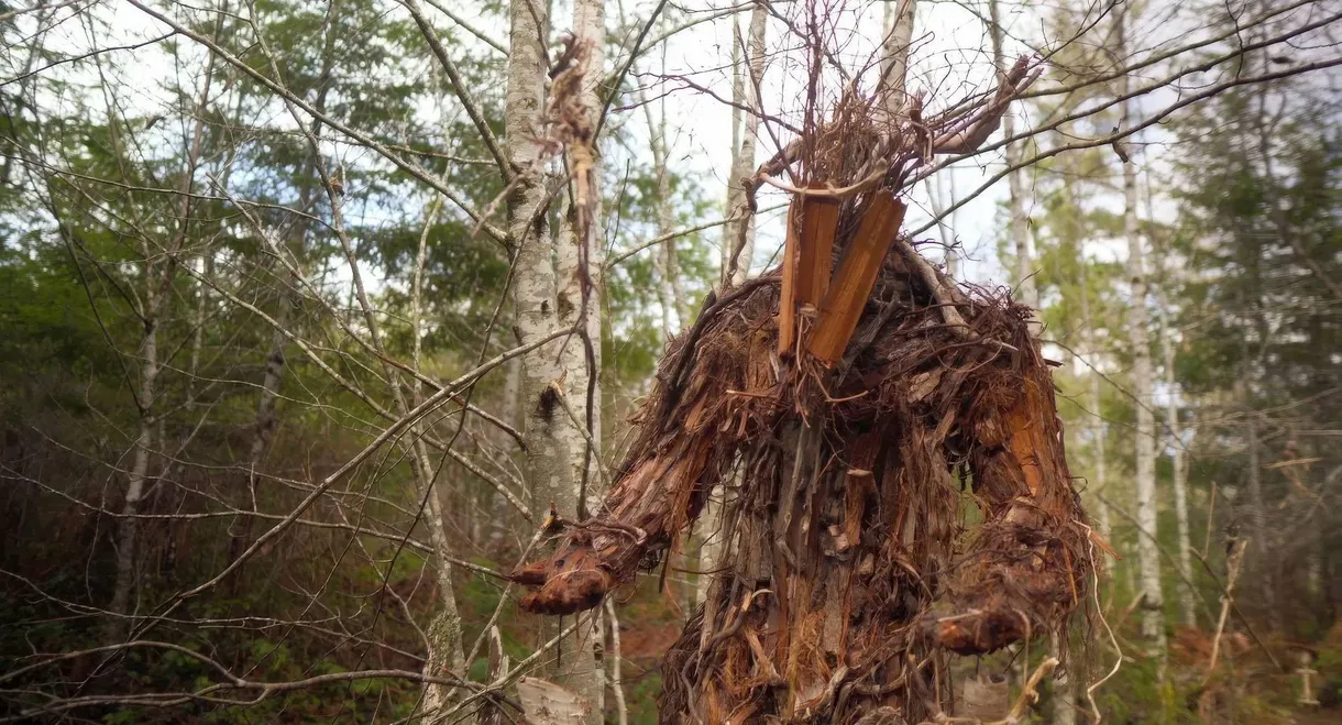 The Stickman's Hollow