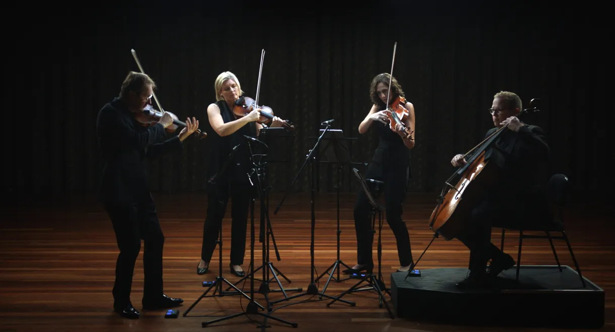 Anatomy of a String Quartet