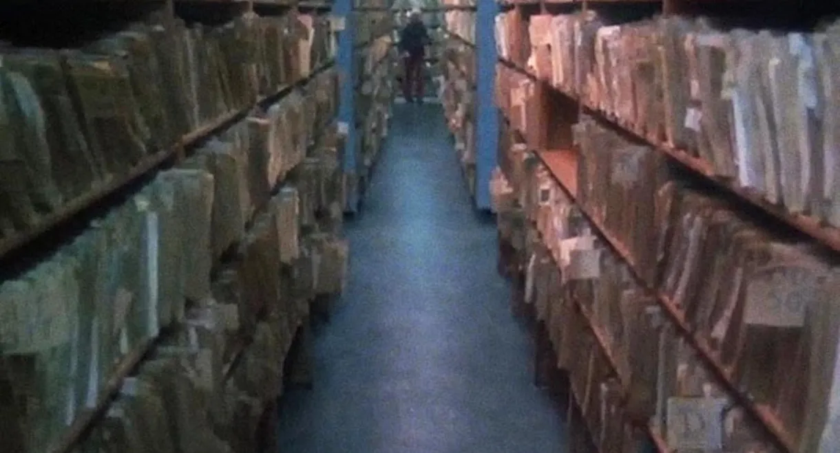 Paperland: The Bureaucrat Observed