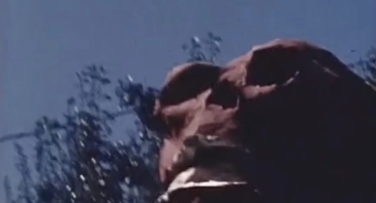 Captain America Battles the Red Skull