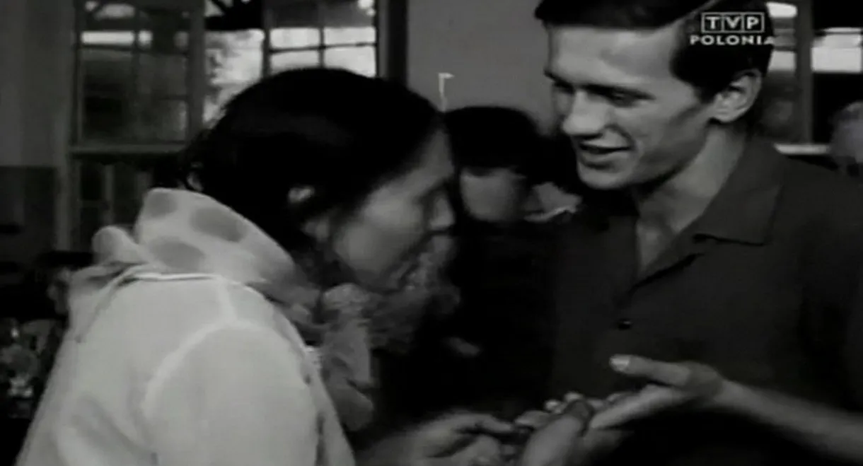 Cyrograf dojrzałości