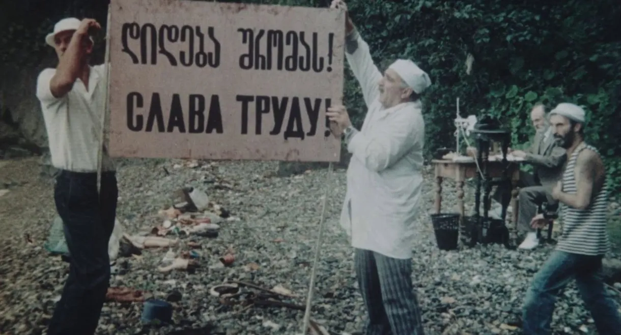 Swallows and Sparrows