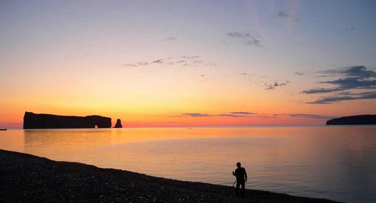 Territoires, alliances et autres métissages