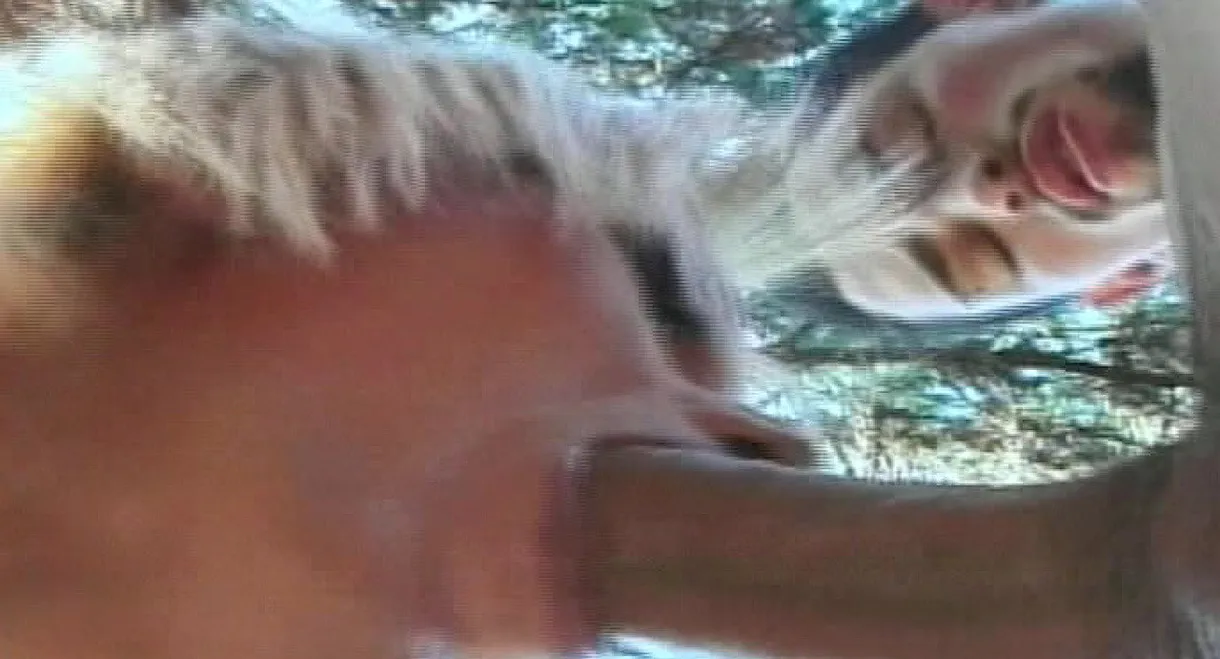 Young Tender Trannies 17