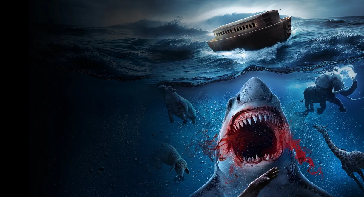 Noah’s Shark