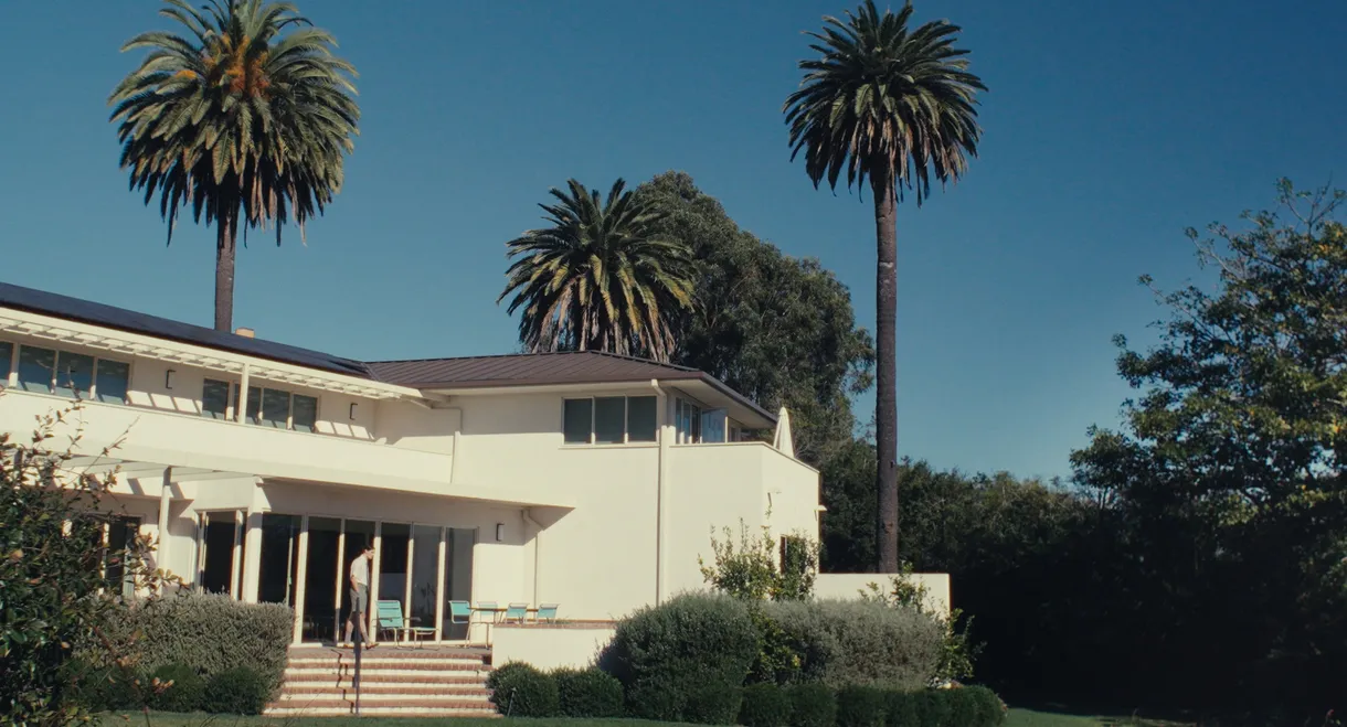 Confessions of Thomas Mann, Confidence Man